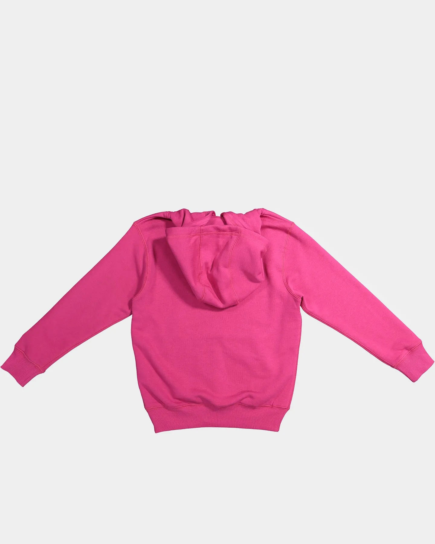 Champion Kids' Script Hoodie Bo Berry